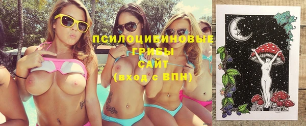 мяу мяу мука Сатка