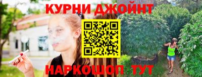шишки Гагарин