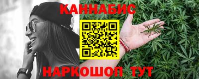 mdpv Гатчина
