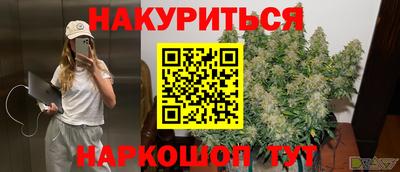 шишки Гагарин