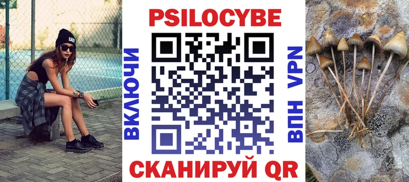 дарнет шоп  гидра зеркало  Псилоцибиновые грибы прущие грибы  Среднеуральск 