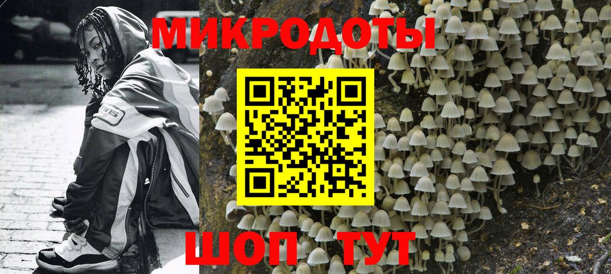 Псилоцибиновые грибы мицелий Среднеуральск